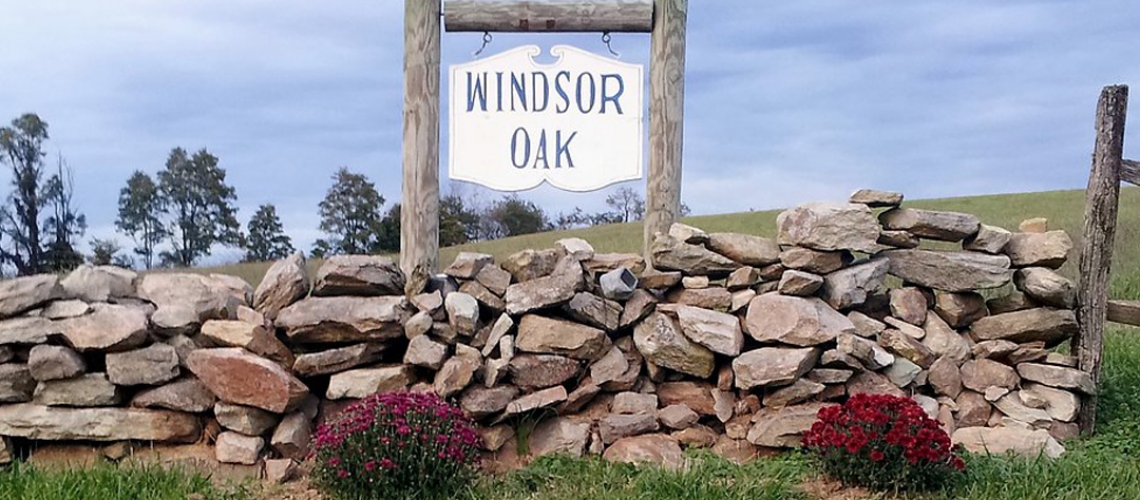 Yorkie & Small Toy Dog Breeder New Windsor & Baltimore MD Windsor